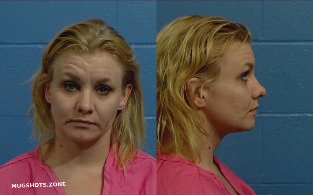 DURHAM HEATHER MARIE 12 11 2021 Williamson County Mugshots Zone