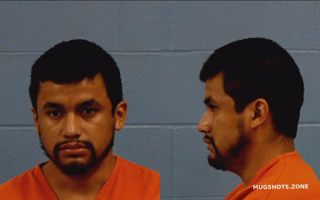 FAJARDO JIMINEZ ARTURO 08 29 2022 Williamson County Mugshots Zone