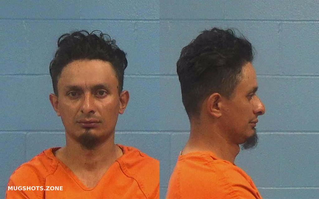 Aviles Obando Oswaldo Antonio Williamson County Mugshots Zone