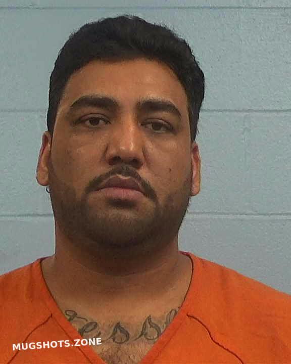 GADAL SANJEEV 10 25 2023 Williamson County Mugshots Zone