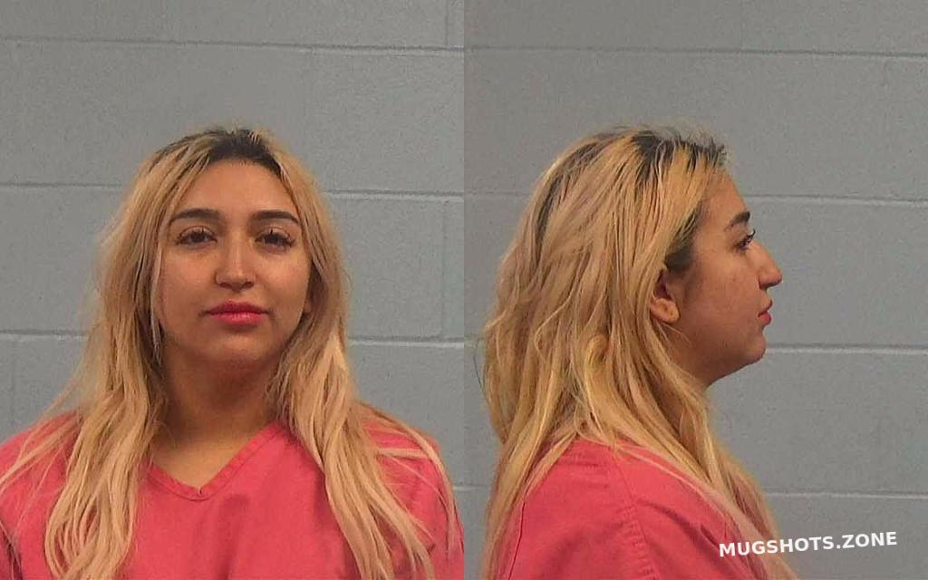 IBARRA ALEJANDRA LIZETTE 01 27 2024 Williamson County Mugshots Zone