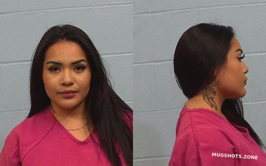 REYES ORTEGA ROXANA 02 09 2024 Williamson County Mugshots Zone