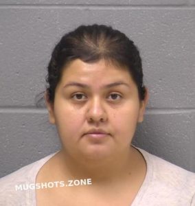 Pintor Julissa V Will County Mugshots Zone