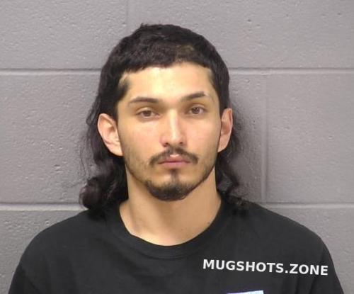 Cardona Manuel Will County Mugshots Zone