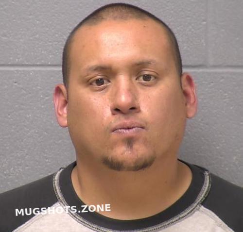 Lopez Manuel E Will County Mugshots Zone