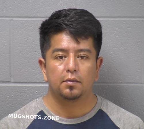 Mejia Jorge L Will County Mugshots Zone