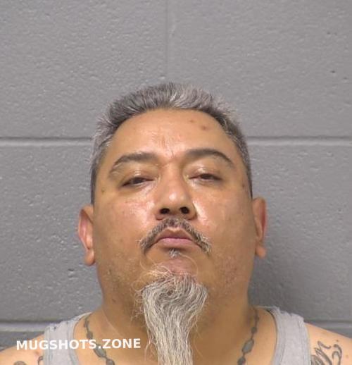 Castillo Edmundo Gerardo Will County Mugshots Zone