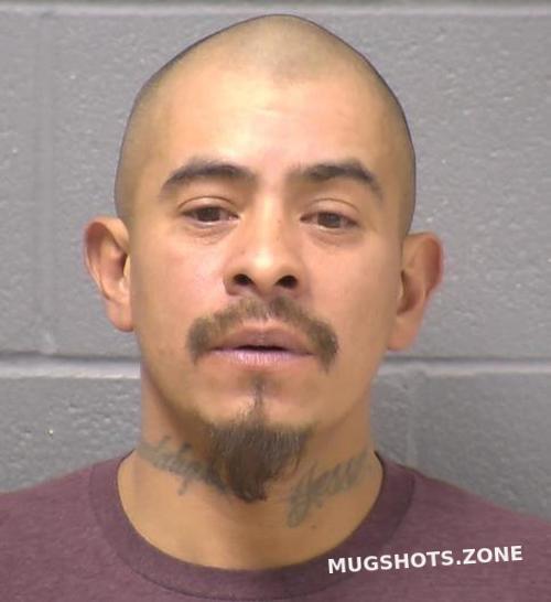 Vega Sergio V Will County Mugshots Zone