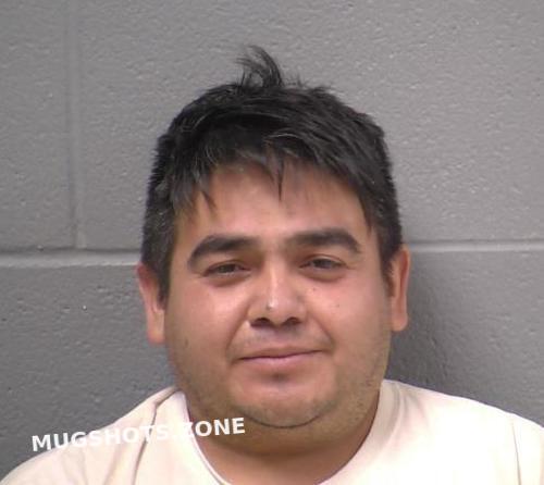 Garnica Garcia Gerardo Will County Mugshots Zone