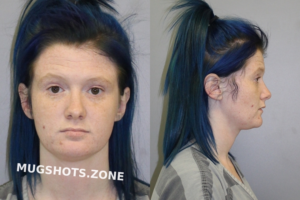 GOURLEY HANNAH MARIE 04 07 2021 Wise County Mugshots Zone