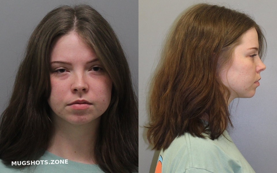 Sims Haley Rene Wise County Mugshots Zone