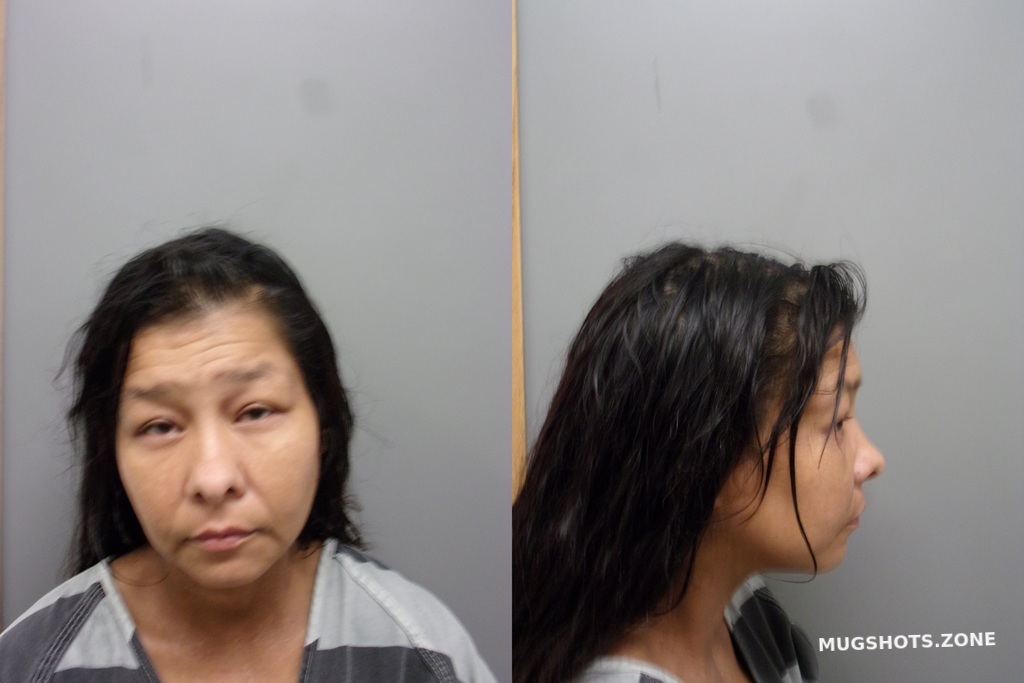 Robles Misty Lynn Wise County Mugshots Zone