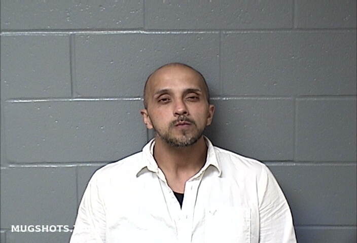 ANDRADE RICARDO 04 12 2024 Woodford County Mugshots Zone