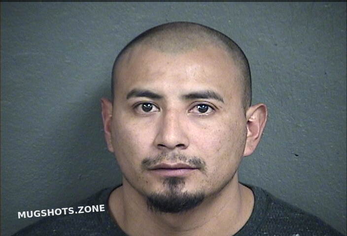 Andrade Zamora Armando Wyandotte County Mugshots Zone