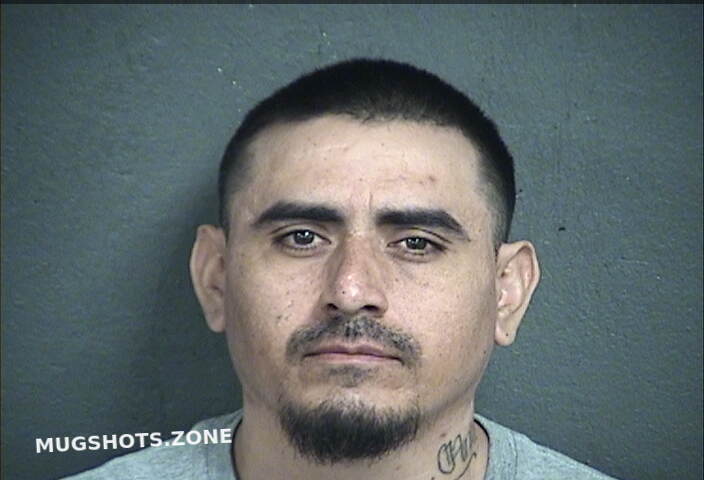 PEREA PEREA JUAN 04 11 2024 Wyandotte County Mugshots Zone