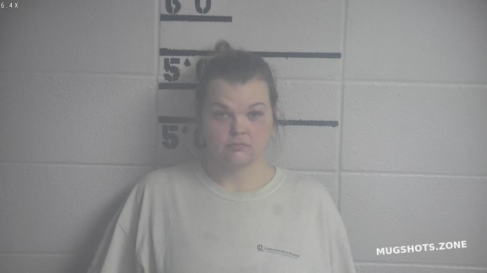 SMITH MEGAN E 03/26/2025 Adair County Mugshots Zone