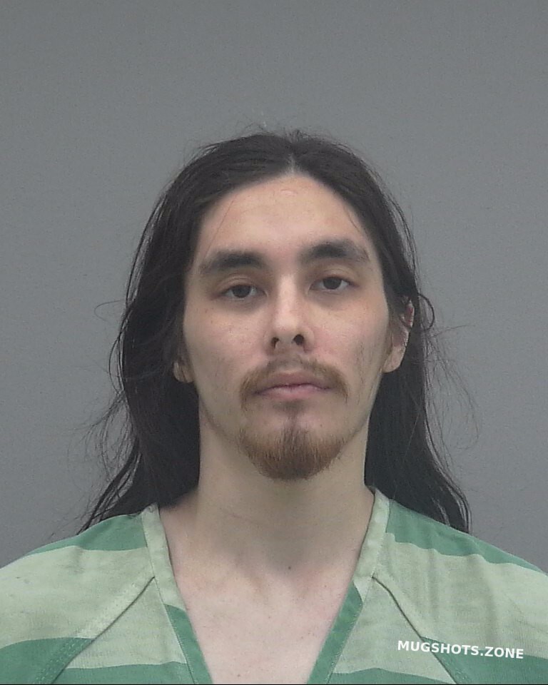 LEE RYAN ALEXANDER 12/24/2021 - Alachua County Mugshots Zone