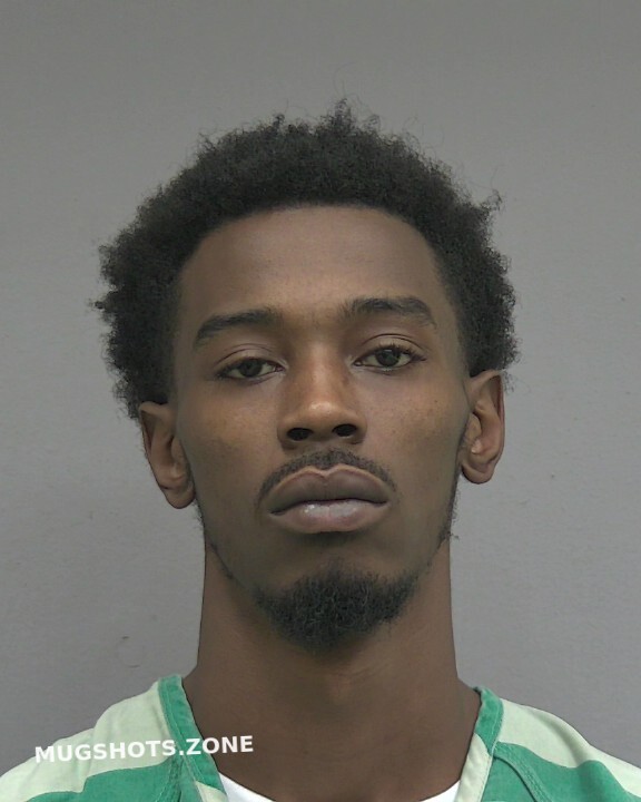 RILEY GEORGE 09/02/2024 - Alachua County Mugshots Zone