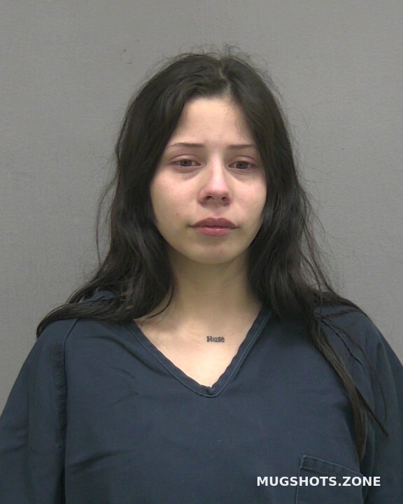SUAREZ PACHEO LAURA 10/21/2024 Alachua County Mugshots Zone