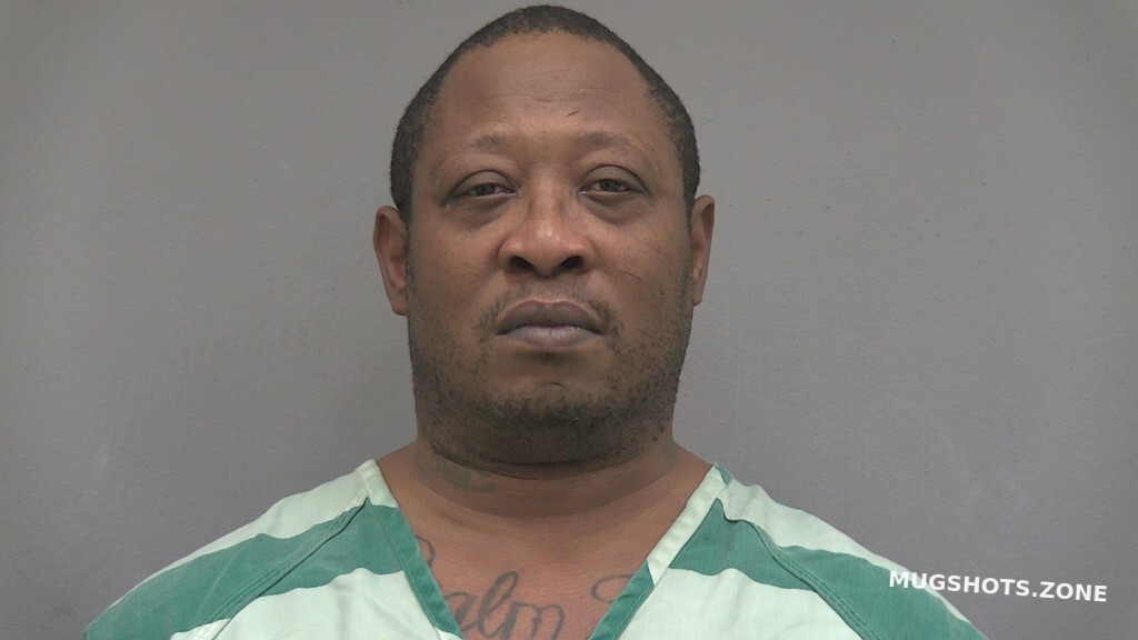 LANG ARTHUR LEONARD 02/05/2025 - Alachua County Mugshots Zone