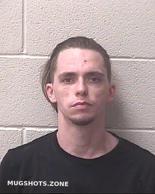 FARMER DAKOTA LEE 02/15/2024 - Alexander County Mugshots Zone