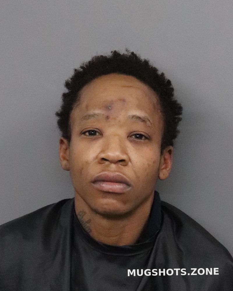 BLUE SHENNA RASHAWNA 01/16/2021 Anderson County Mugshots Zone