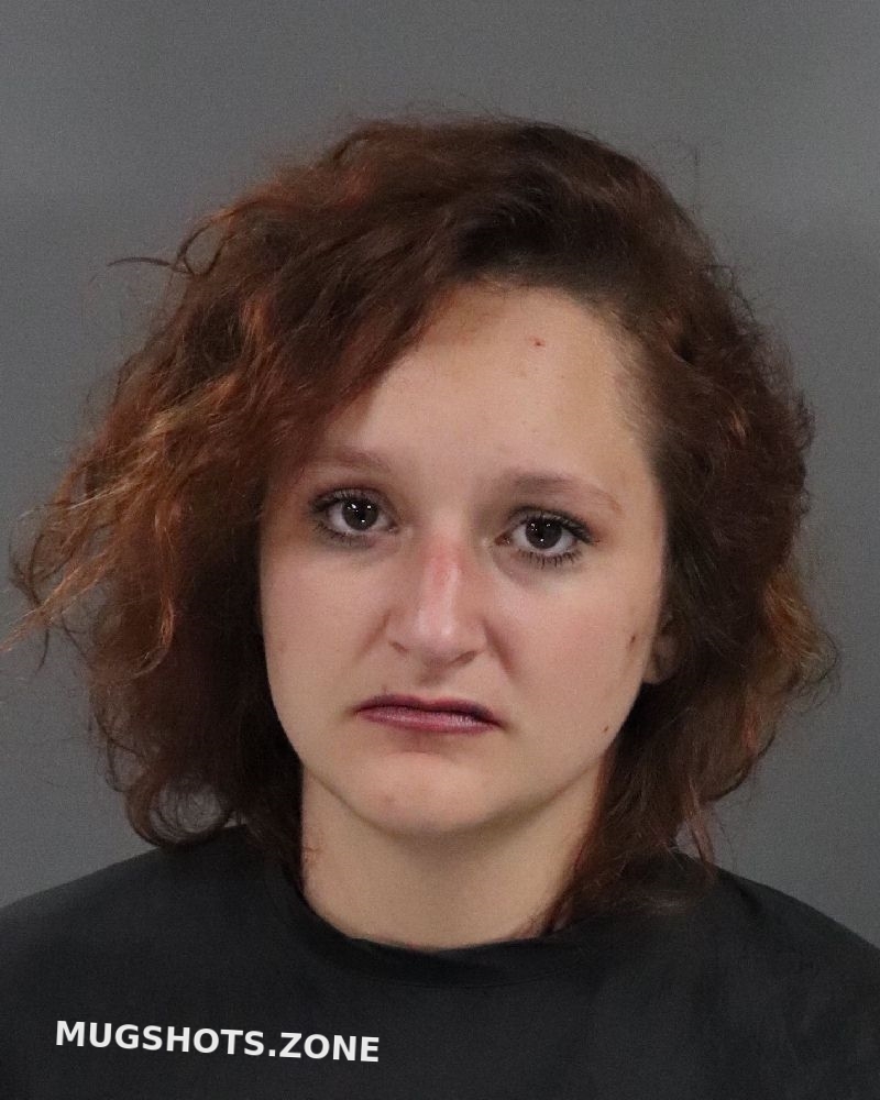 HOLCOMBE MOLINA KATLYN 04/25/2021 - Anderson County Mugshots Zone