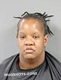 JOHNSON JESSICA RENEE 03/29/2025 - Anderson County Mugshots Zone