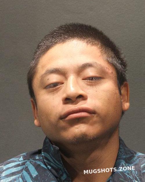 SALES HERNANDEZ ALEX 05/18/2025 - Arlington County Mugshots Zone