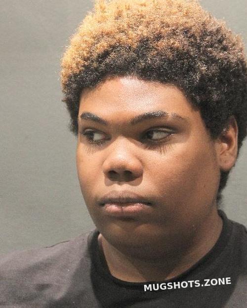 PHILLIPS LEXXI 07/11/2025 - Arlington County Mugshots Zone