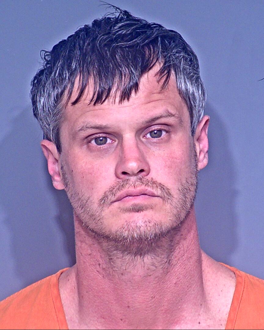 WINGARD KYLE EMORY 01/12/2021 - Baldwin County Mugshots Zone