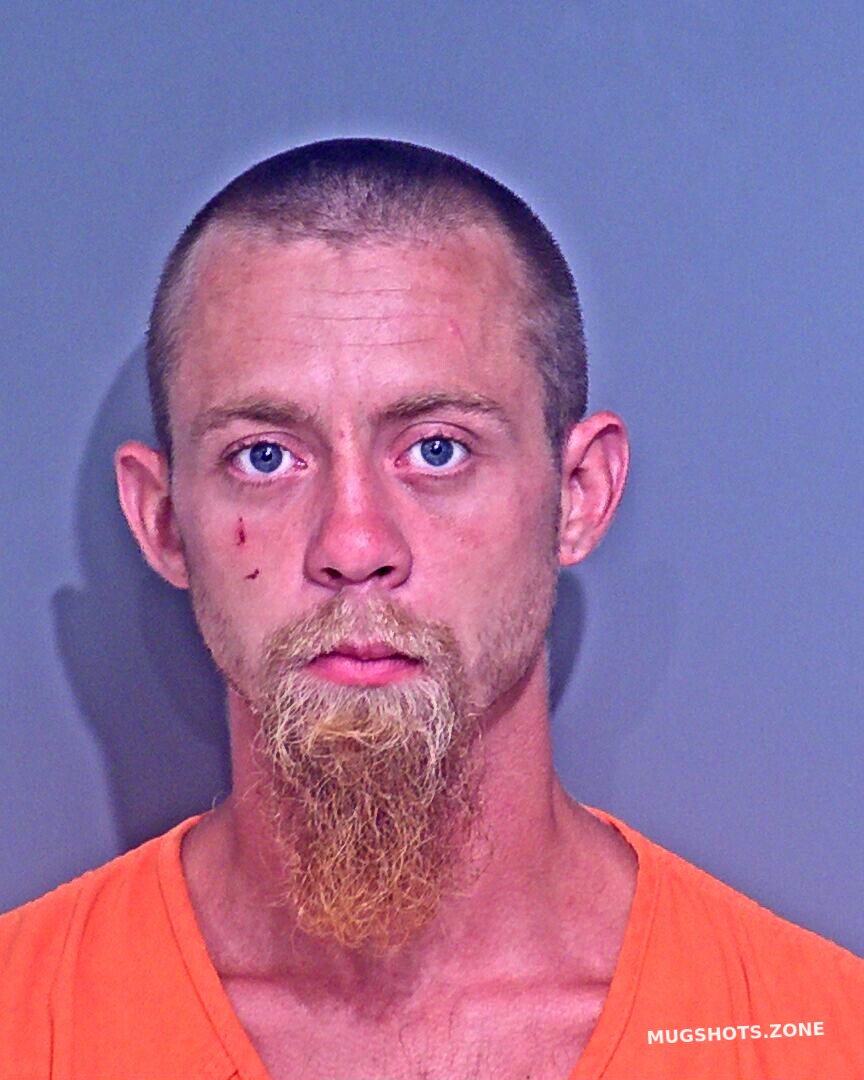 COLLINS JR STEVEN DEWAYNE 10/19/2021 - Baldwin County Mugshots Zone