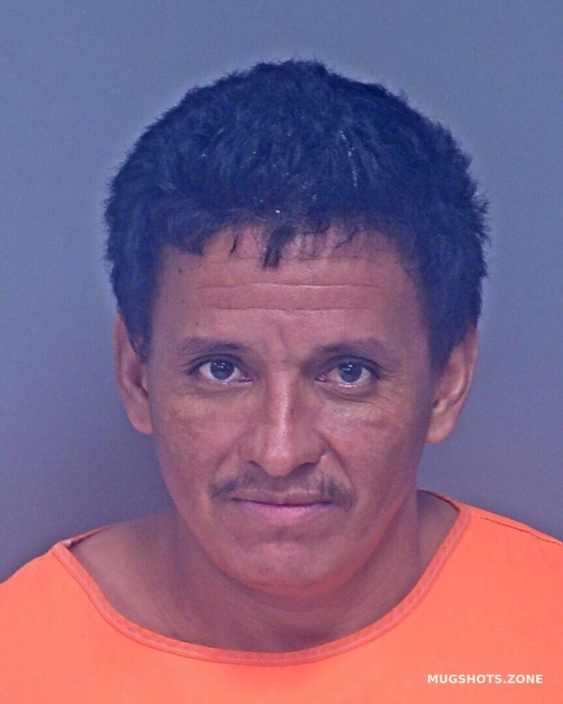 Dubon Alvarado Geraldo 08262022 Baldwin County Mugshots Zone 5935