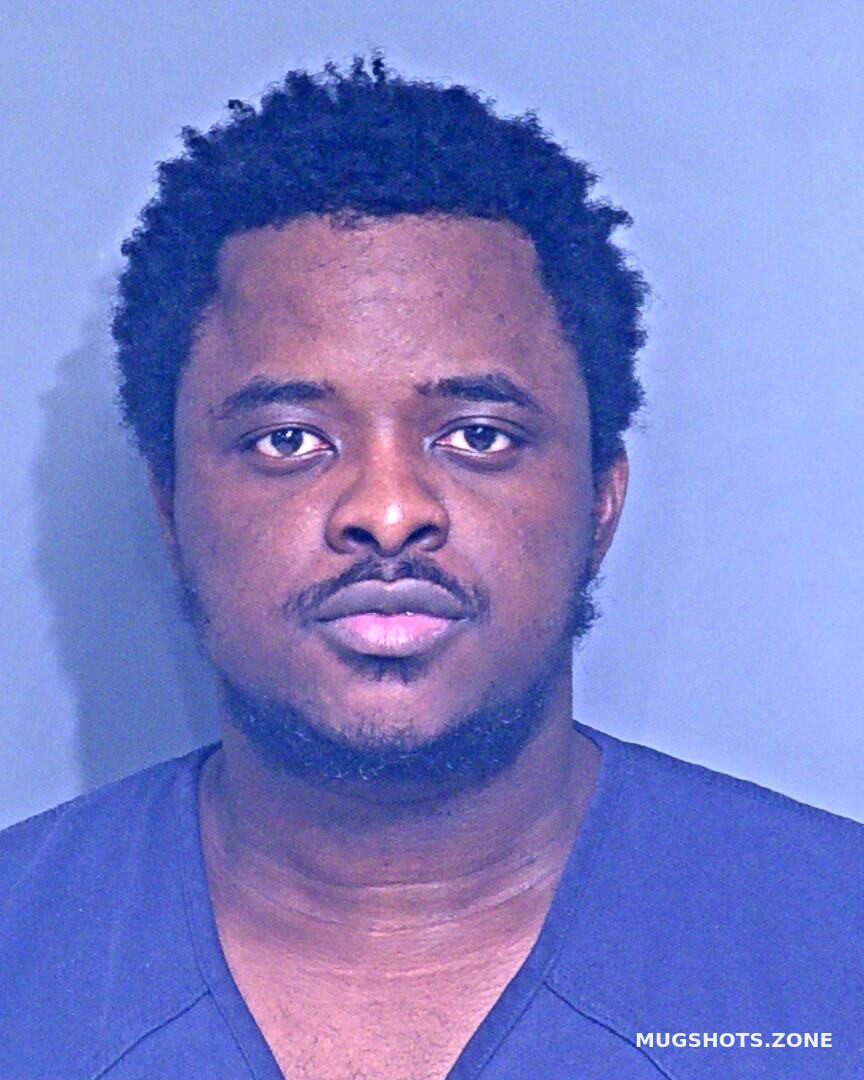 Ayeni Babatunde Francis 01 18 2024 Baldwin County Mugshots Zone