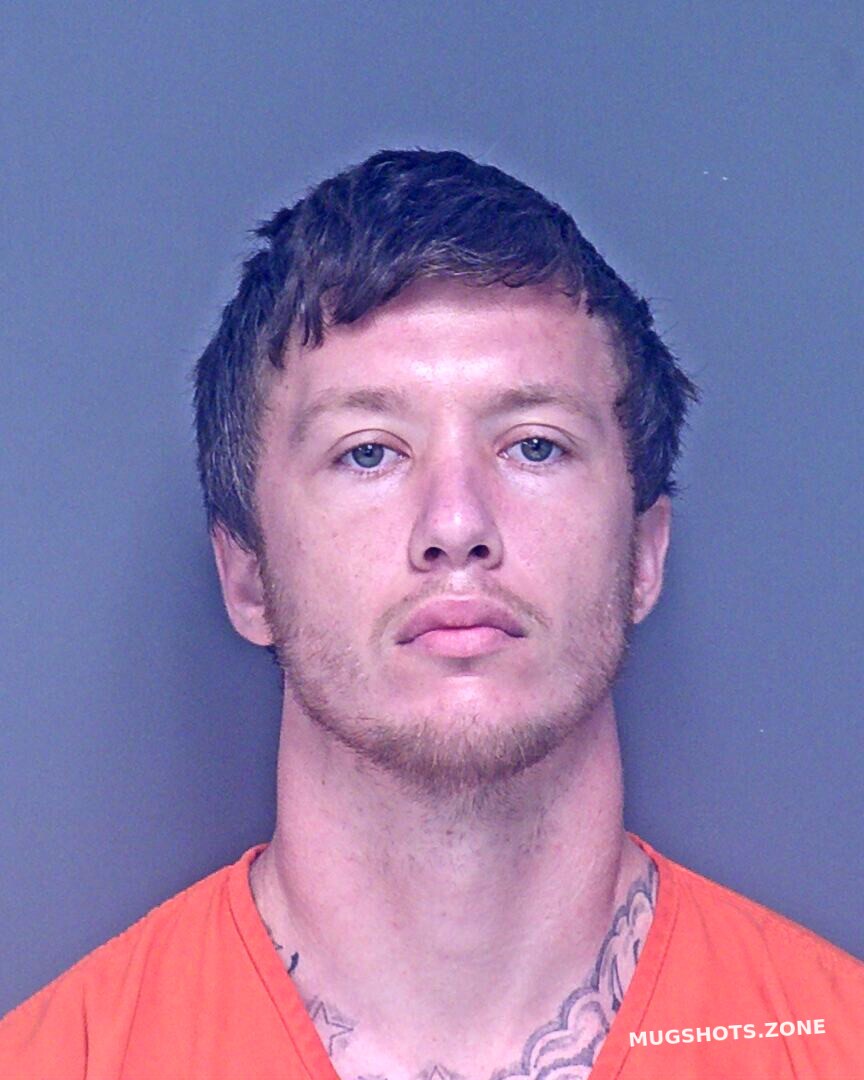 HOLLINGSWORTH THOMAS CECIL 03/07/2024 - Baldwin County Mugshots Zone