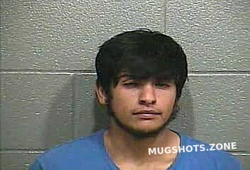 ROBLES JOSE LOUIS 04/11/2022 - Barren County Mugshots Zone