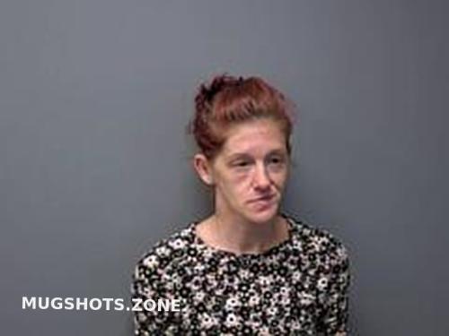 Heather Renea Coble 02132024 Baxter County Mugshots Zone