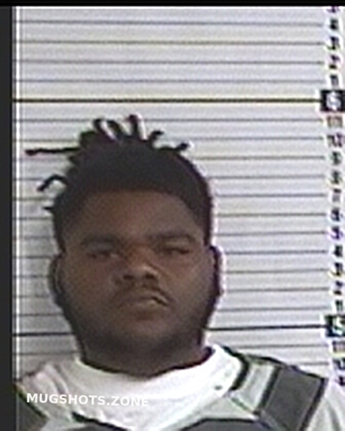 VINSON KIERSTON JEMYAH 03/24/2023 Bay County Mugshots Zone