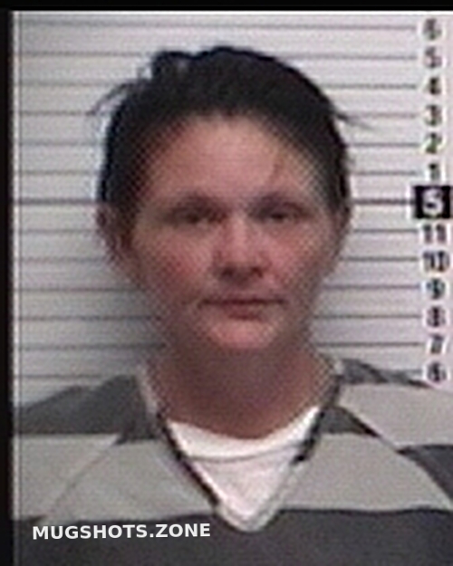 WEBER CASEY LYNN 04/22/2023 Bay County Mugshots Zone