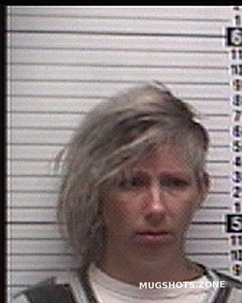 Porter Kristen Lee Bay County Mugshots Zone