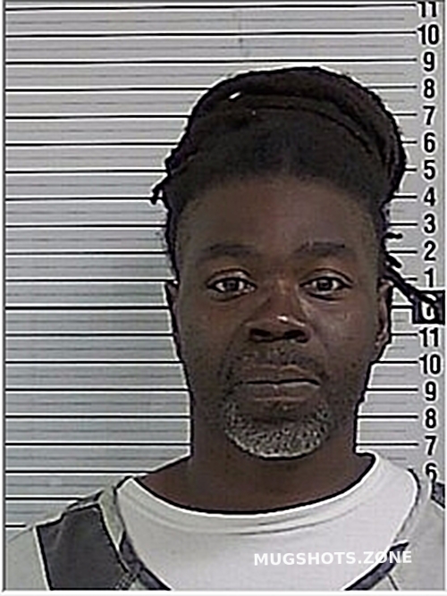 BROWN COREY ROBINSON 06/23/2023 Bay County Mugshots Zone