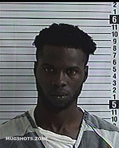 PALMER ODAINE GEOVANI 09/21/2023 Bay County Mugshots Zone