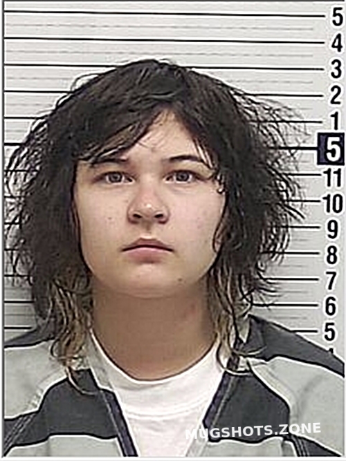 HARVEY CHEYENNE MARIE 09/29/2023 Bay County Mugshots Zone