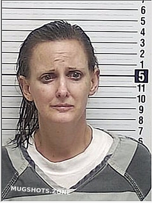 BRODIE CHRISTY LYNN 12/09/2023 Bay County Mugshots Zone