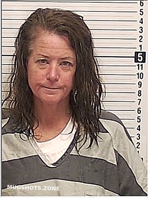 AMERLING JENNIFER 12/12/2023 Bay County Mugshots Zone