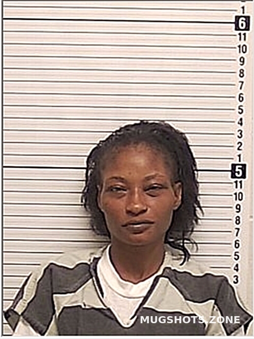 DAVIS MAHOGANNY CHYLON 12/15/2023 Bay County Mugshots Zone