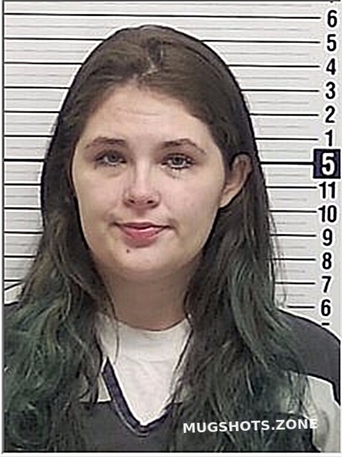 BABB KYLA CHRISTINE 12/22/2023 Bay County Mugshots Zone