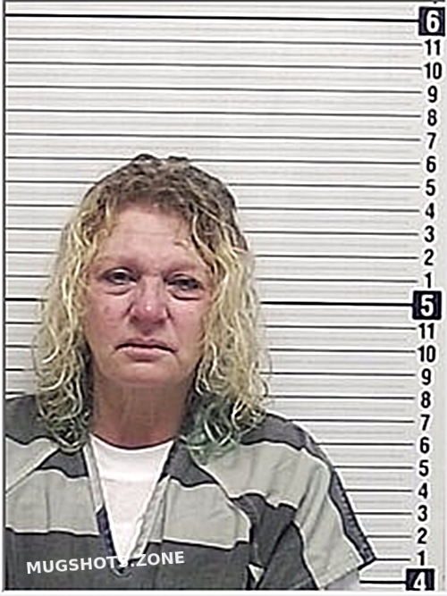 MCDANIEL BRANDY LYNN 01/04/2024 Bay County Mugshots Zone