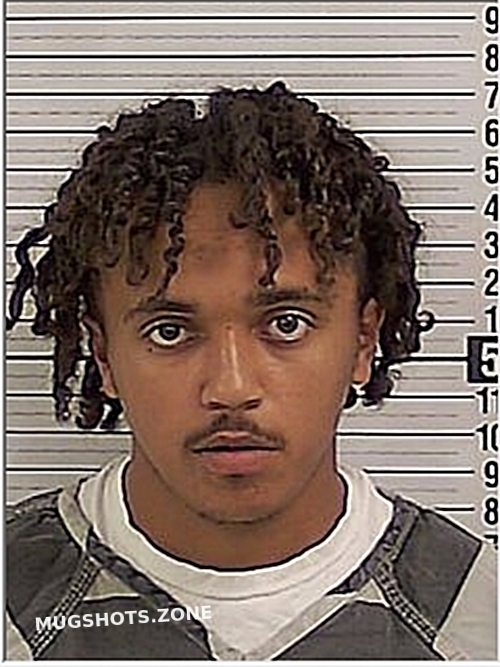 BROWN KRISTIAN MICHAEL 01/17/2024 Bay County Mugshots Zone