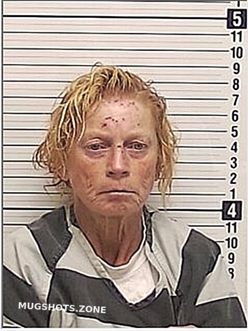 STEINMETZ TAMMY CAROL 01/19/2024 Bay County Mugshots Zone